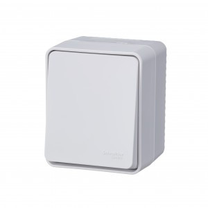 Systeme Electric AtlasDesign Profi54 выкл. ОУ 1 кл. (перекл проходн) 10А бел. (IP54) (12!) ATN540161