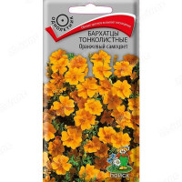 Бархатцы Оранжевый самоцвет Поиск Ц