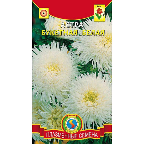 Астра Букетная белая Плазма Ц