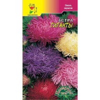 Астра Гиганты хризантемовидная Смесь ЦветСад Ц