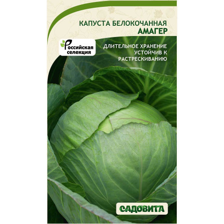 Капуста Амагер белокочанная 0,5 гр Садовита Ц