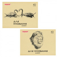 Блокнот д/рисования, А4, 40 л., обл. офсет, гориз., STAFF, 2 вида, ЕАС, 203х280 мм, 126962