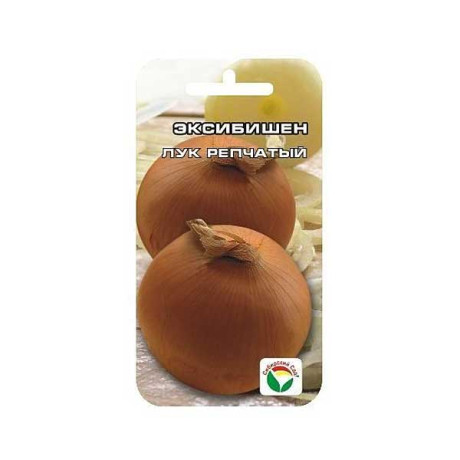 Лук Эксибишен СибСад Ц