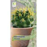 Семена Эхинокактус Грузони Поиск Ц