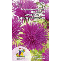 Астра Шальная императрица сине-фиолетовая Марс Ц