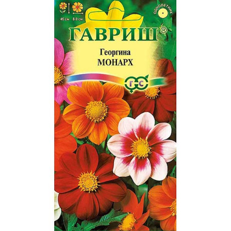 Георгин Монарх Гавриш Ц