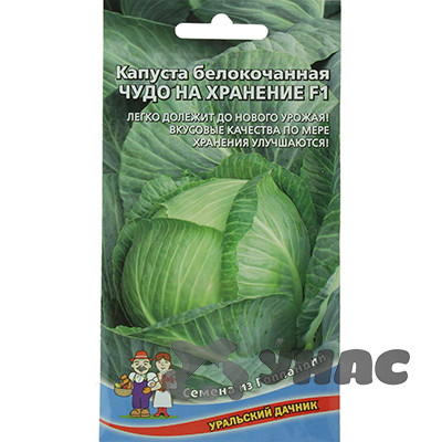 Капуста Чудо на хранение Марс Ц