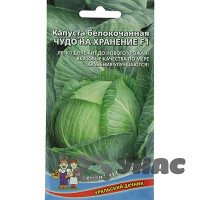 Капуста Чудо на хранение Марс Ц