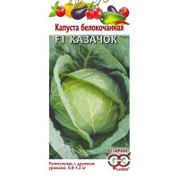 Капуста Казачок Гавриш Ц