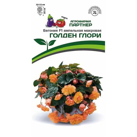 Ком Бегония Голден Глори клубневая Партнер Ц