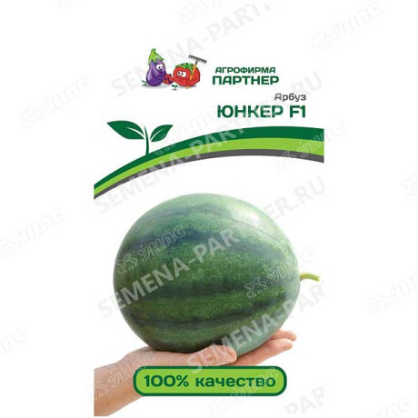 Арбуз Юнкер Партнер Ц