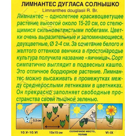 Семена Лимнантес дугласа Солнышко Аэлита Цх10