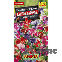 Душистый горошек Крылья бабочки Аэлита Ц