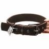 Ошейник кожаный двойной ширина 35 мм двойной 65 см