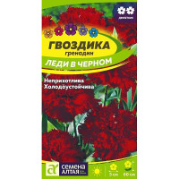 Семена Гвоздика гренадин Леди в черном СемАлт Ц