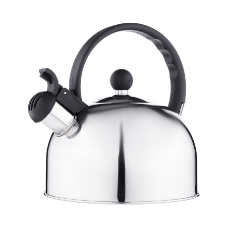 Чайник стальной 2.5л, индукция, RWK007