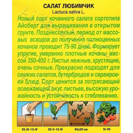 Семена Салат Любимчик Аэлита Цх10
