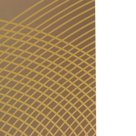 Пакет тм Fntastic подарочный, с шильдиком, XXL 40x30x12см, тиснение, бумага, арт.15, 3 дизайна