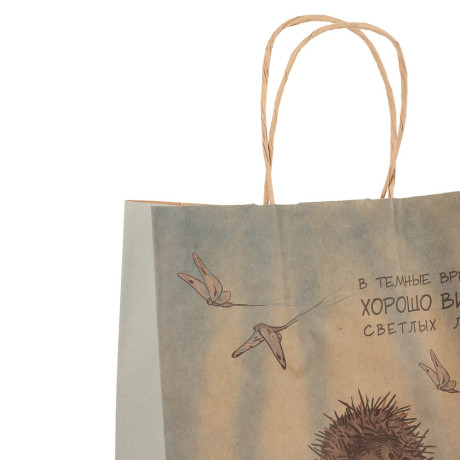 Пакет подарочный с кручеными ручками L 24х14х30см, "Ёжик в тумане", в ассортименте