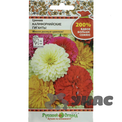 Циния Калифорнийские гиганты НК Ц