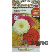 Циния Калифорнийские гиганты НК Ц