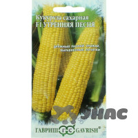 Кукуруза Утренняя песня Гавриш Ц