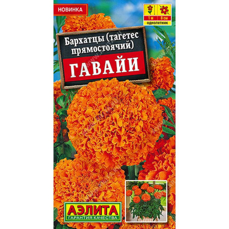 Бархатцы Гавайи прямостоячие Аэлита Цх10