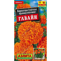 Бархатцы Гавайи прямостоячие Аэлита Цх10