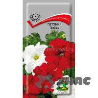 Петуния Любовь Поиск Ц