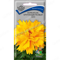 Кореопсис крупноцветковый Затея  Поиск Ц