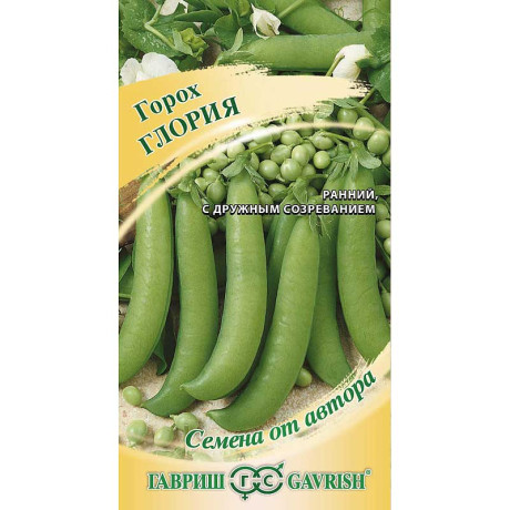 Горох Глория Гавриш Ц