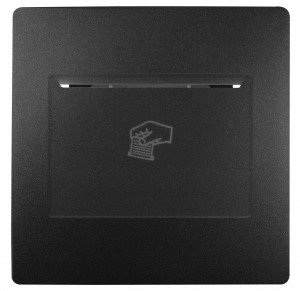 ЭРА 12 накладка на выкл. 12-4105-99, антрацит 12-6201-05 6346