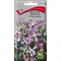 Маттиола Лилово-розовая двурогая Поиск Ц