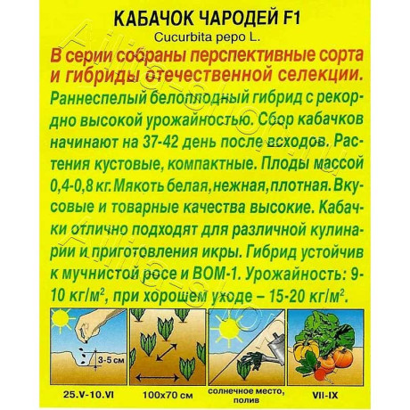 Семена Кабачок Чародей Аэлита Ц