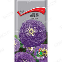 Циния Лавендер Поиск Ц