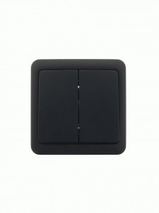 Lezard VIOLA выкл. ОУ 2 кл. черн. (корп. ABS) 751-4200-101