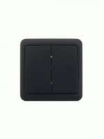 Lezard VIOLA выкл. ОУ 2 кл. черн. (корп. ABS) 751-4200-101