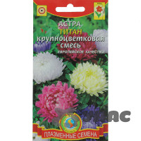 Астра Титан Плазма Ц