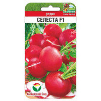 Редис Селеста СибСад Ц
