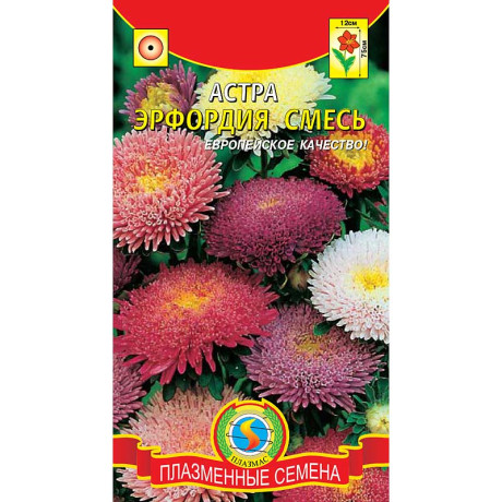 Астра Эрфордия Плазма Ц