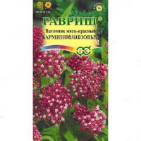 Ваточник Карминно-розовый Гавриш Ц