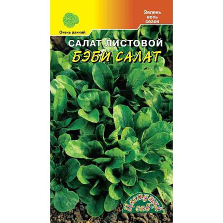 Салат Бэби лист. ЦветСад Ц