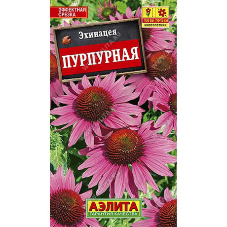 Рудбекия Пурпурная (эхинацея) Аэлита Ц