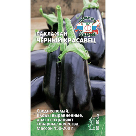 Баклажан Черный красавец Седек Ц