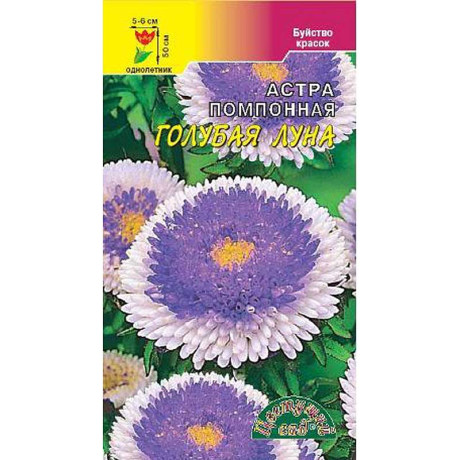 Астра Голубая луна помпонная ЦветСад Ц