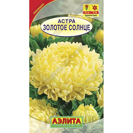 Астра Золотое Солнце Аэлита Ц