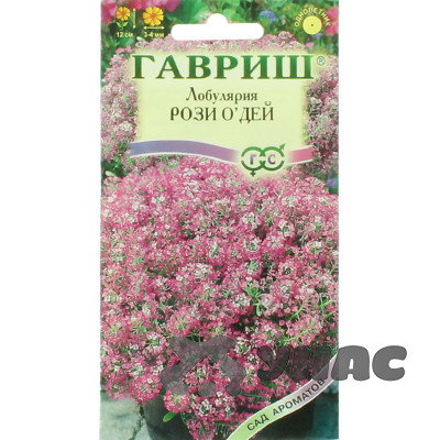 Лобулярия Рози о Дей Гавриш Ц