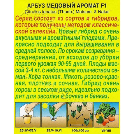 Арбуз Медовый аромат Аэлита