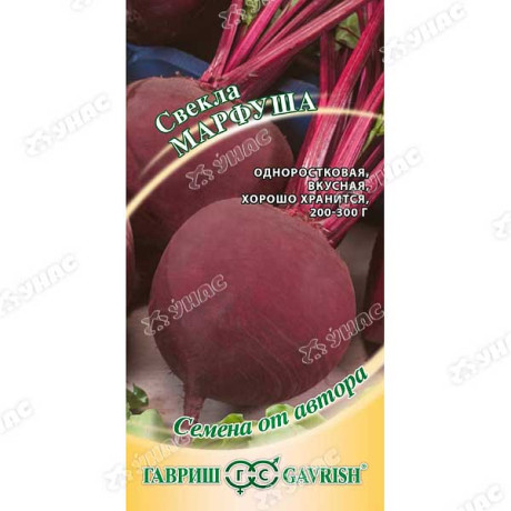 Свекла Марфуша Гавриш Ц