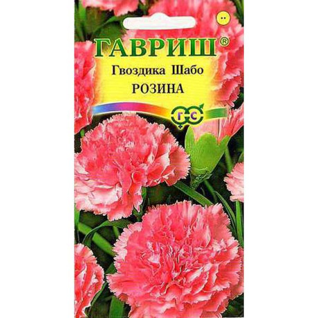 Гвоздика Шабо Розина  Гавриш Ц